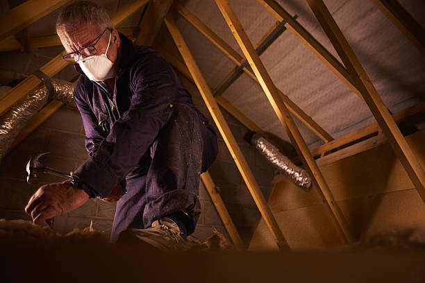 Types of Insulation We Offer in Fort Hall, ID